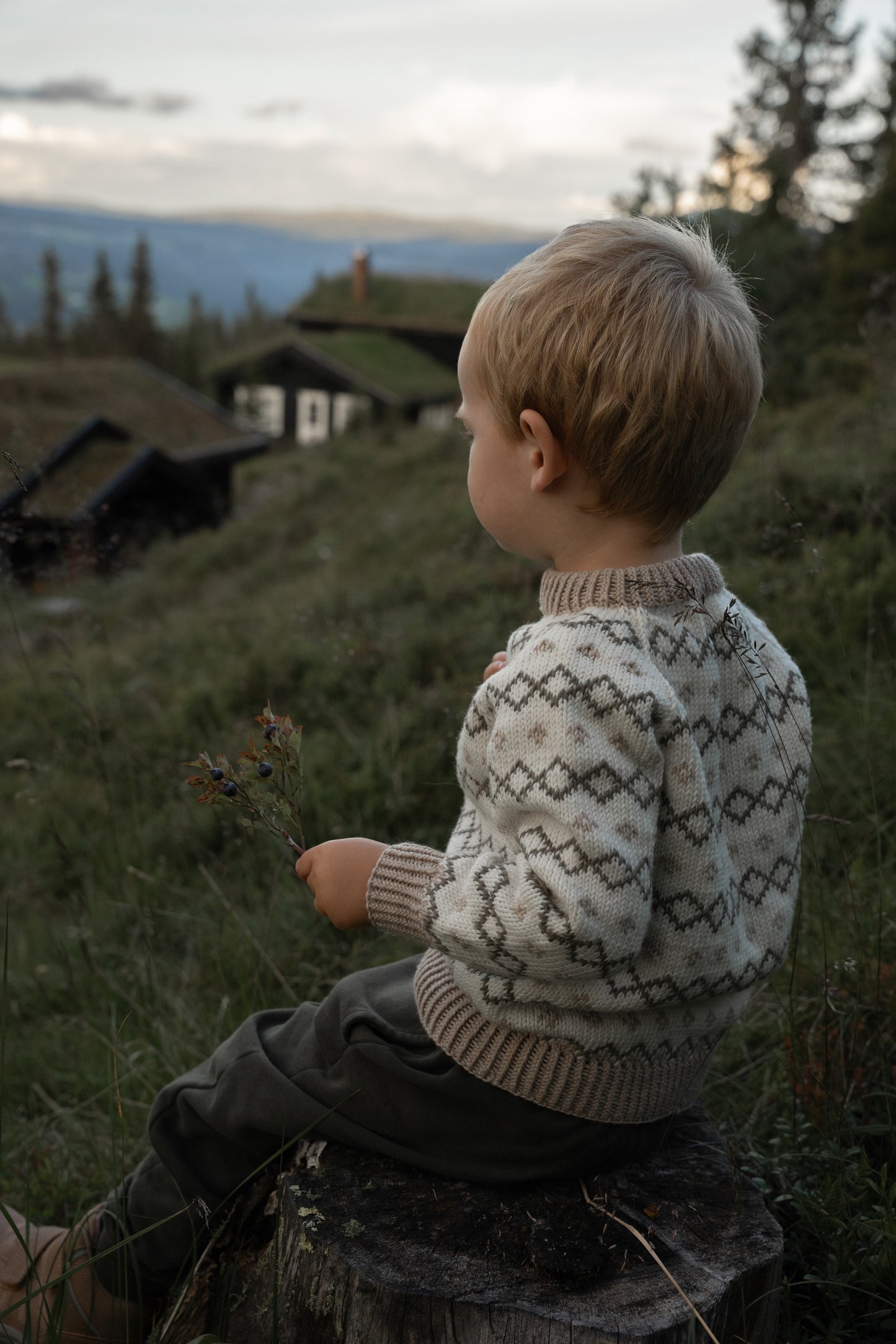 KlatreVenn Genser